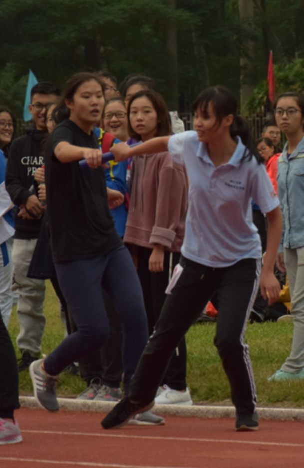 image 65